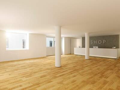 Gewerbeobjekt mieten in 4020 Linz (Bild 1)