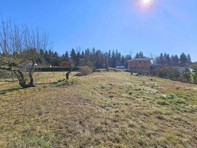 Grundstück kaufen in 8501 Spatenhof (Bild 1)