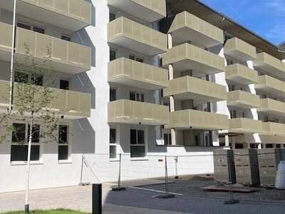 Wohnung provisionsfrei mieten in 8020 Graz