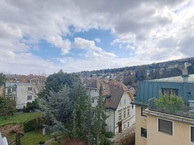 Terrassenwohnung kaufen in 1190 Wien (Bild 3)