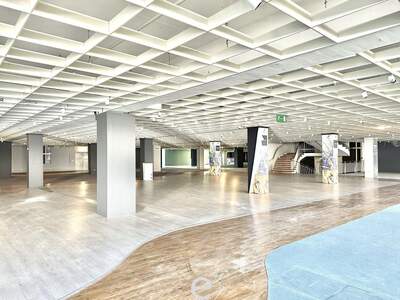 Gewerbeobjekt mieten in 4020 Linz (Bild 3)