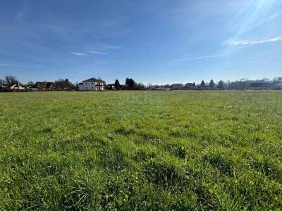 Grundstück kaufen in 8430 Leibnitz