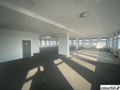 Gewerbeobjekt mieten in 1230 Wien (Bild 3)