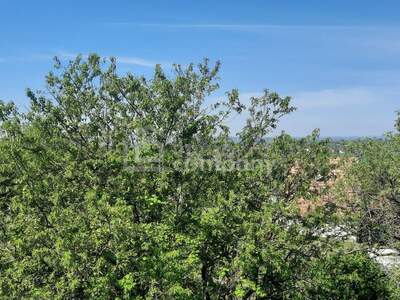 Haus mit Garten kaufen in 2836 Baj (Bild 1)