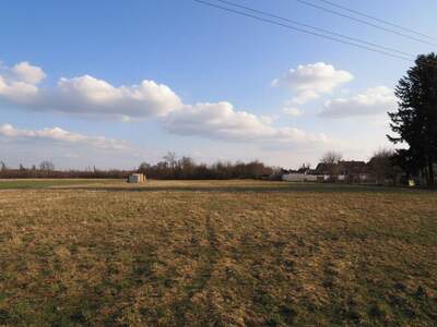 Grundstück kaufen in 4064 Oftering (Bild 2)