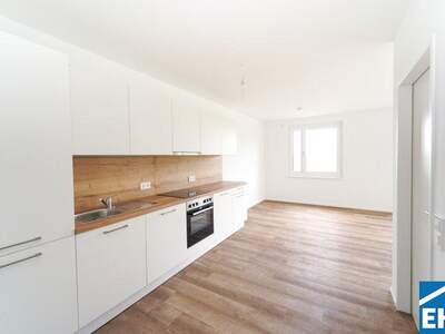 Terrassenwohnung mieten in 3451 Michelhausen (Bild 2)