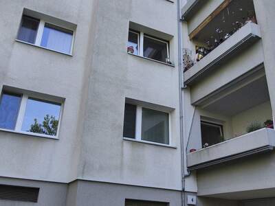 Terrassenwohnung kaufen in 1230 Wien (Bild 3)
