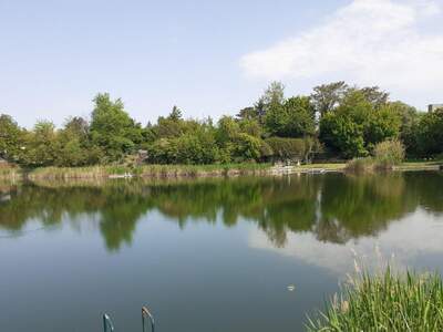 Haus kaufen in 2333 Leopoldsdorf (Bild 2)