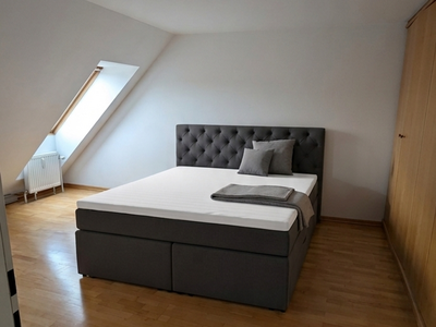 Wohnung mit Balkon mieten in 1220 Kaisermühlen (Bild 2)