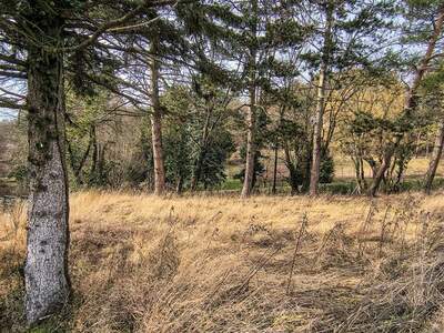 Grundstück kaufen in 1170 Wien (Bild 1)