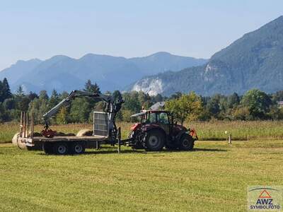 Gewerbeobjekt kaufen in 5252 Ried