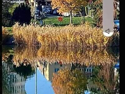 Wohnung provisionsfrei mieten in 1220 Wien