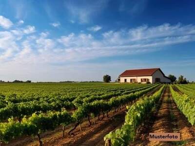 Immobilie kaufen in 7122 Gols