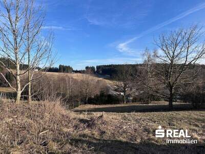 Grundstück kaufen in 4202 Althellmonsödt