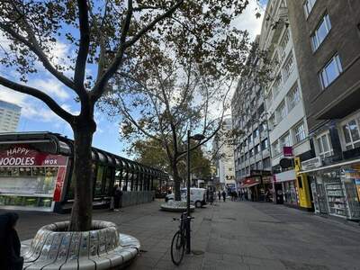 Wohnung kaufen in 1010 Wien