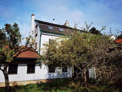 Haus kaufen in 1190 Wien