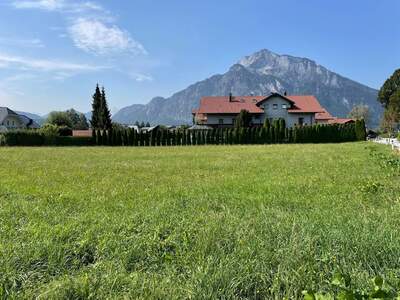Grundstück kaufen in 5081 Anif