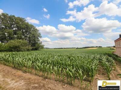 Grundstück kaufen in 2111 Tresdorf