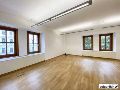 Gewerbeobjekt mieten in 1010 Wien
