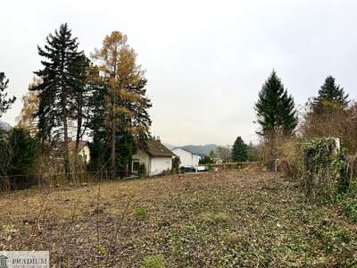 Grundstück kaufen in 2534 Alland (Bild 2)