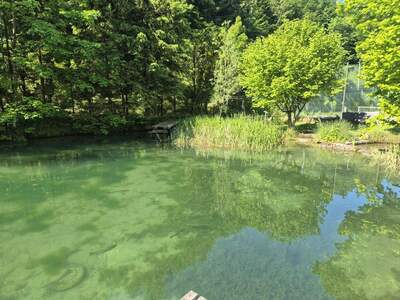 Mehrfamilienhaus kaufen in 3341 Ybbsitz (Bild 1)
