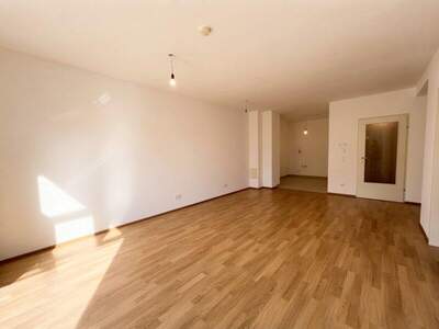 Terrassenwohnung mieten in 2232 Deutsch (Bild 2)