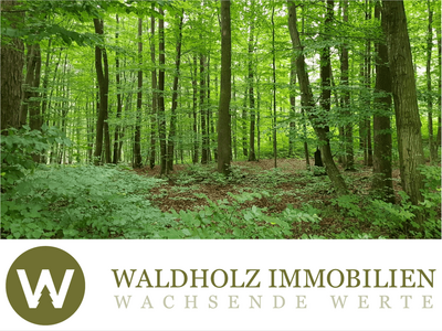 Gewerbeobjekt kaufen in 3443 Sieghartskirchen