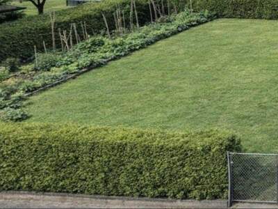 Grundstück kaufen in 4912 Neuhofen