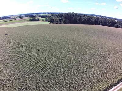 Gewerbeobjekt kaufen in 5134 Schwand