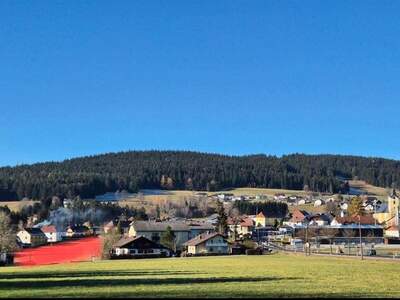 Grundstück kaufen in 4251 Sandl (Bild 3)