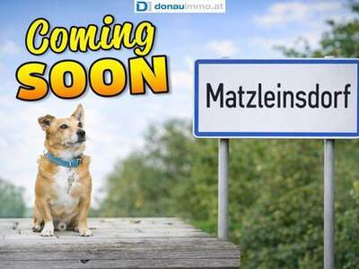 Haus kaufen in 3393 Matzleinsdorf