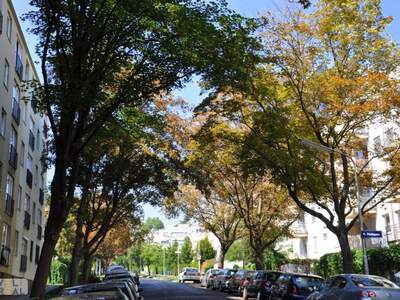 Wohnung mieten in 1190 Wien