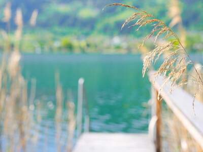 Grundstück kaufen in 9570 Alt (Bild 2)