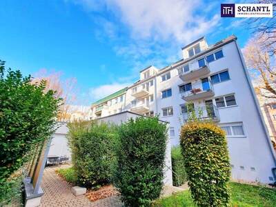 Terrassenwohnung kaufen in 1160 Wien (Bild 5)