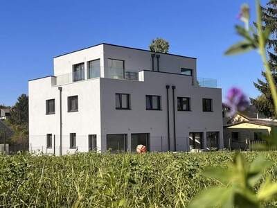 Haus mieten in 2625 Schwarzau