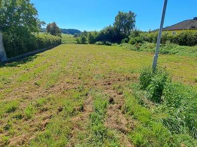 Grundstück kaufen in 3383 Schlatzendorf