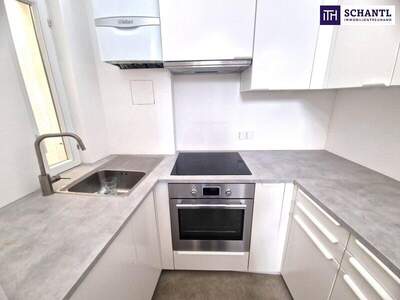 Haus kaufen in 1130 Wien (Bild 5)