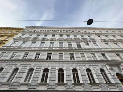 Altbauwohnung kaufen in 1090 Wien (Bild 1)