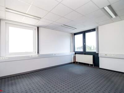 Gewerbeobjekt mieten in 4600 Thalheim (Bild 3)