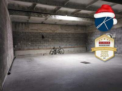 Lager kaufen in 3500 Krems (Bild 1)