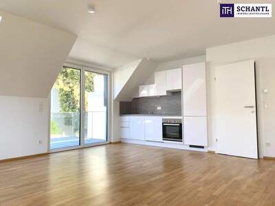 Terrassenwohnung kaufen in 1220 Wien (Bild 2)