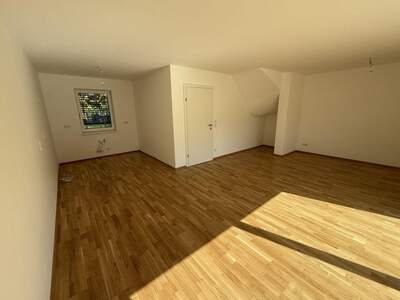Haus mit Garten kaufen in 4030 Linz (Bild 5)