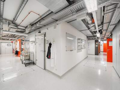 Gewerbeobjekt mieten in 1030 Wien (Bild 5)