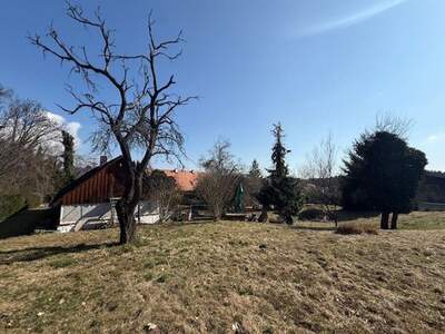 Grundstück kaufen in 8051 Thal (Bild 5)