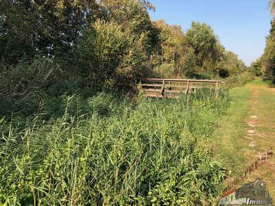 Grundstück kaufen in 2433 Margarethen (Bild 3)