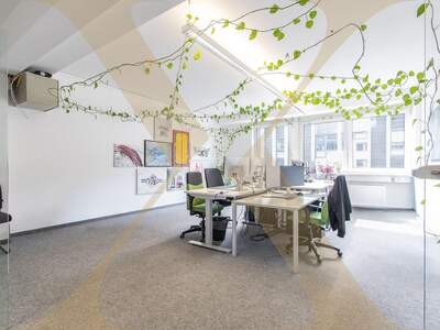 Gewerbeobjekt mieten in 4020 Linz (Bild 1)