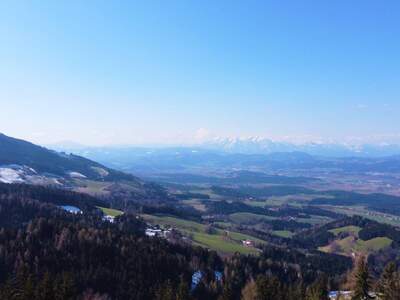 Grundstück kaufen in 9431 Wolfsberg