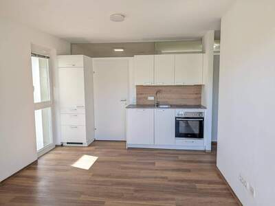 Wohnung provisionsfrei kaufen in 4400 Steyr