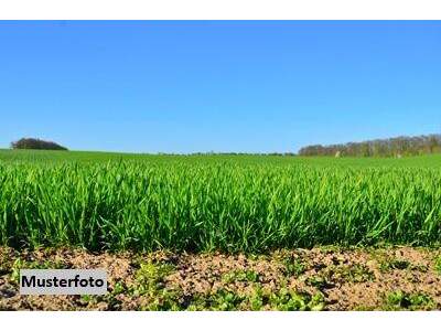 Grundstück kaufen in 7142 Illmitz