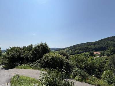 Grundstück kaufen in 8051 Thal